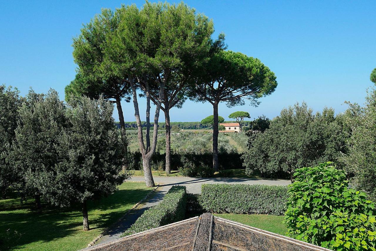 Agriturismo Il Pelago Castagneto Carducci Exterior photo